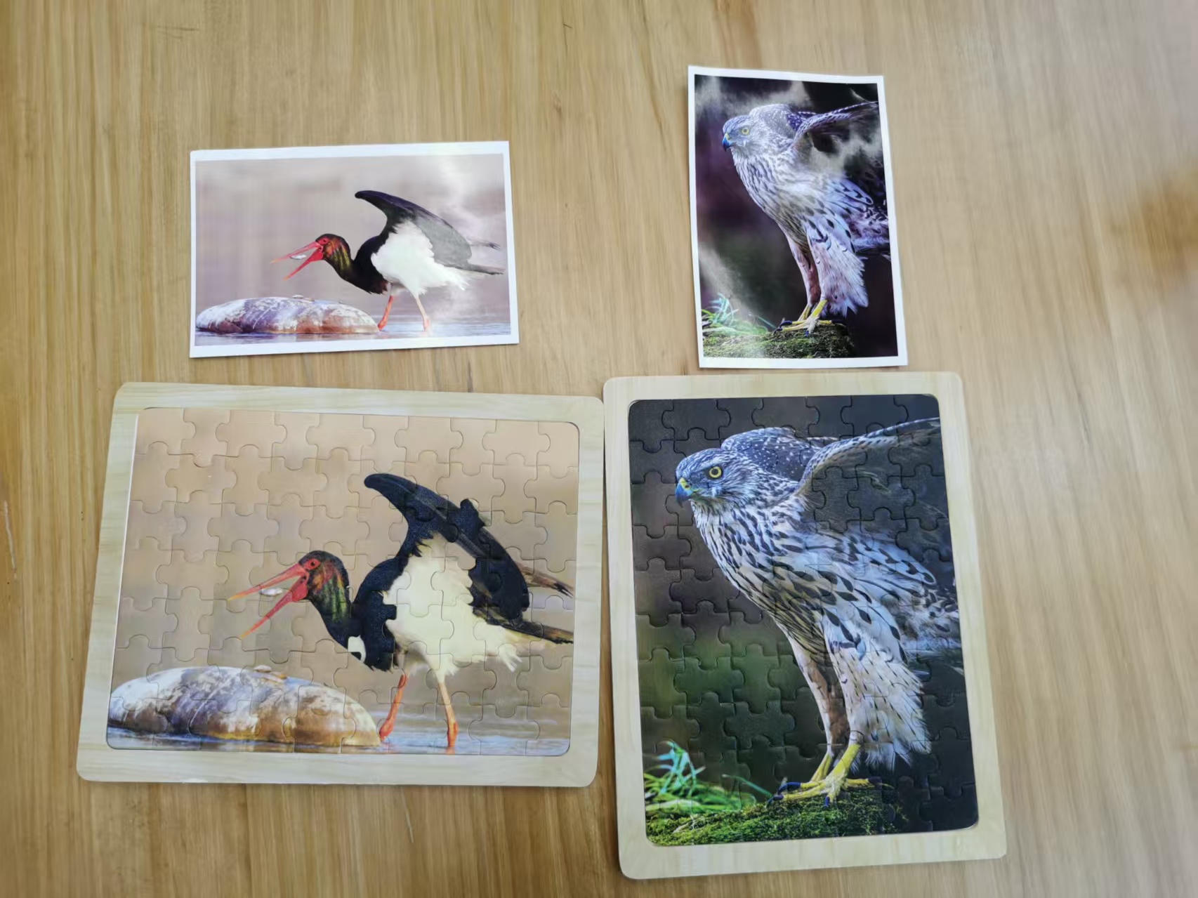 九九公益日 (4).jpg