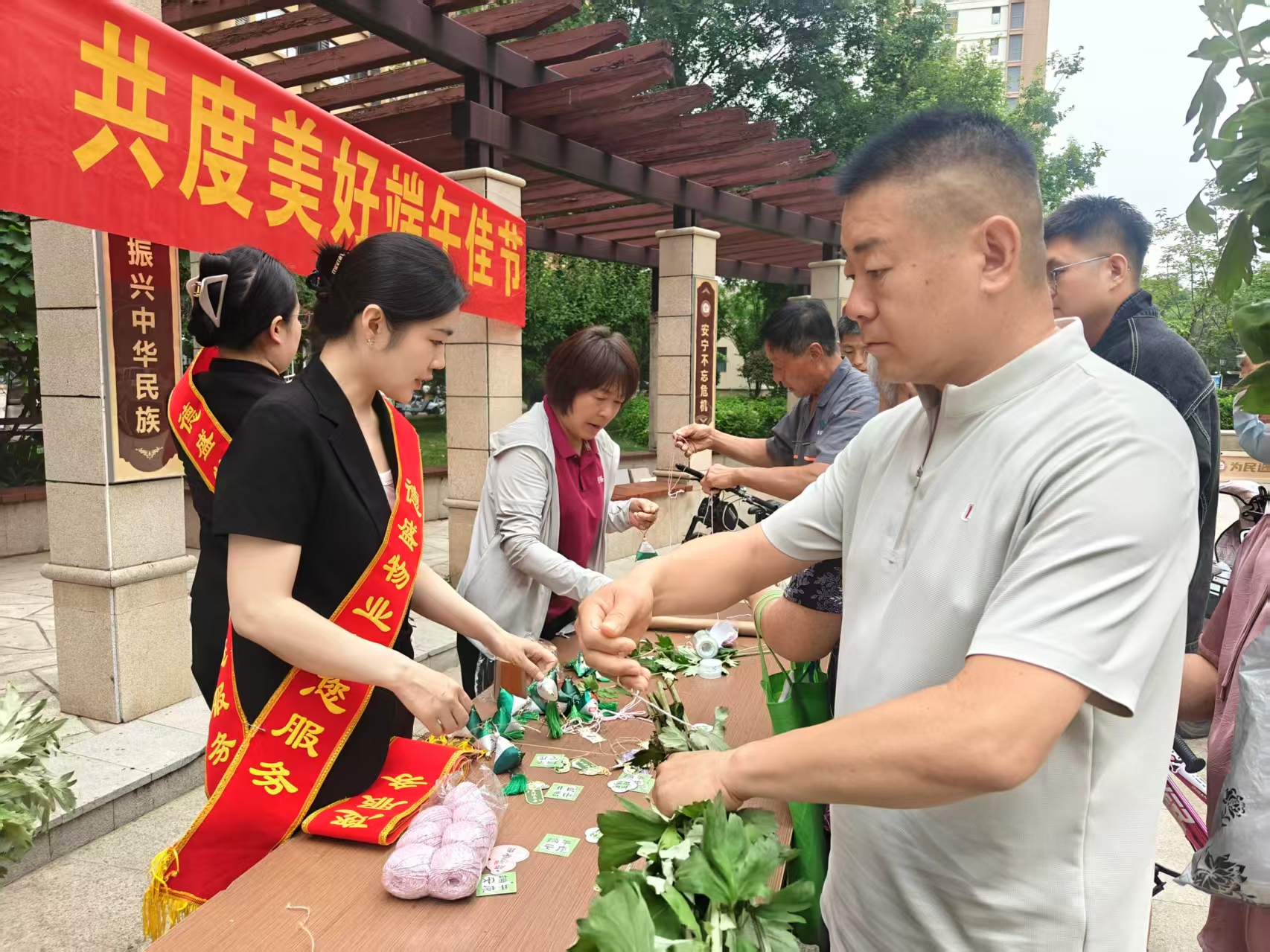 蠡县艾草3.jpg
