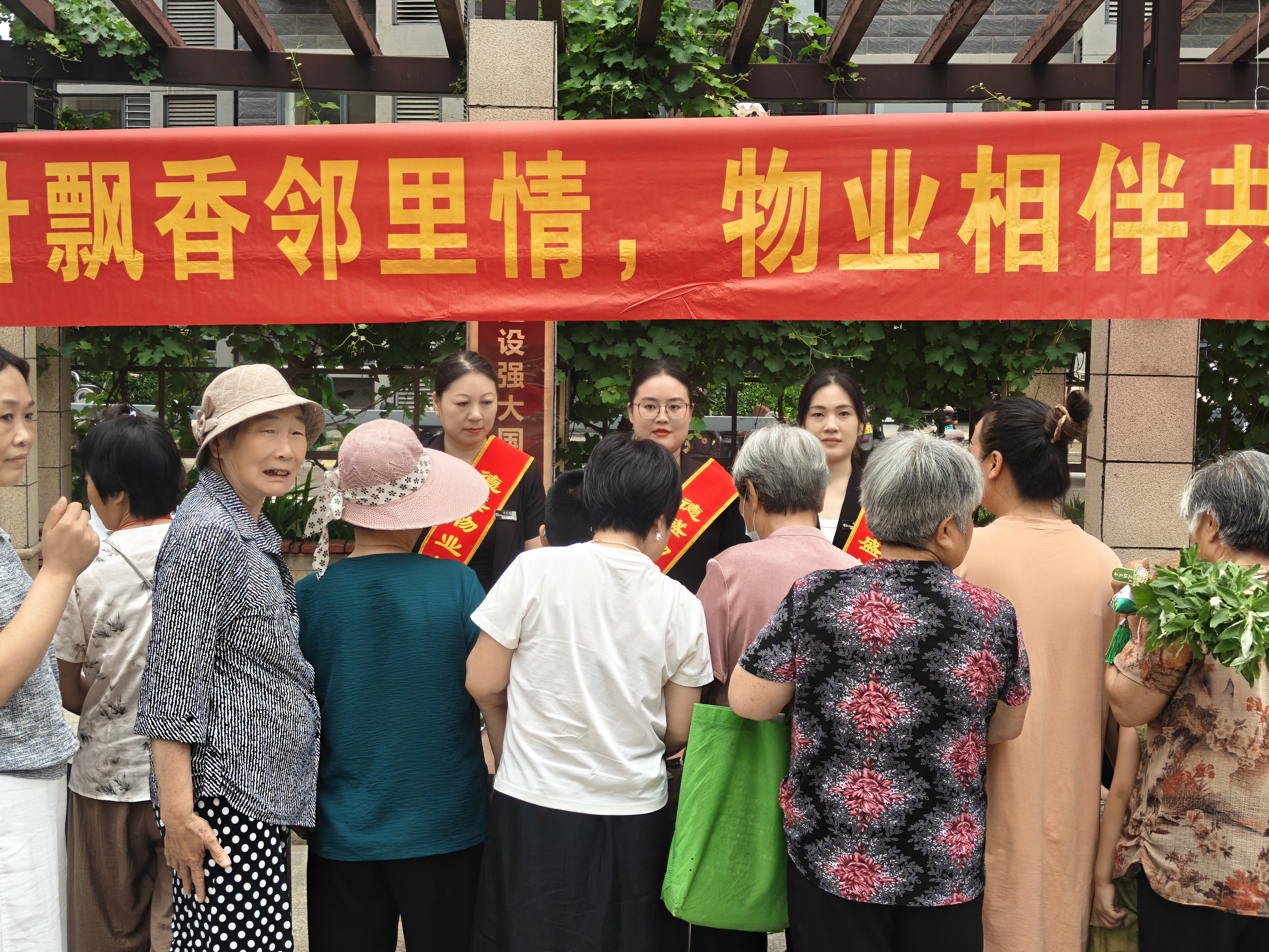 蠡县艾草6.jpg