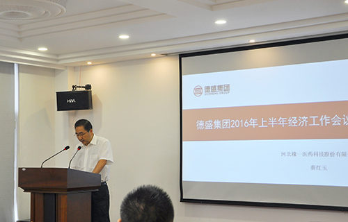 德盛集团2016年上半年经济工作会议胜利召开(图3)